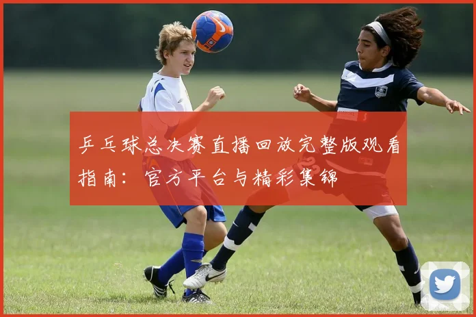 乒乓球总决赛直播回放完整版观看指南：官方平台与精彩集锦
