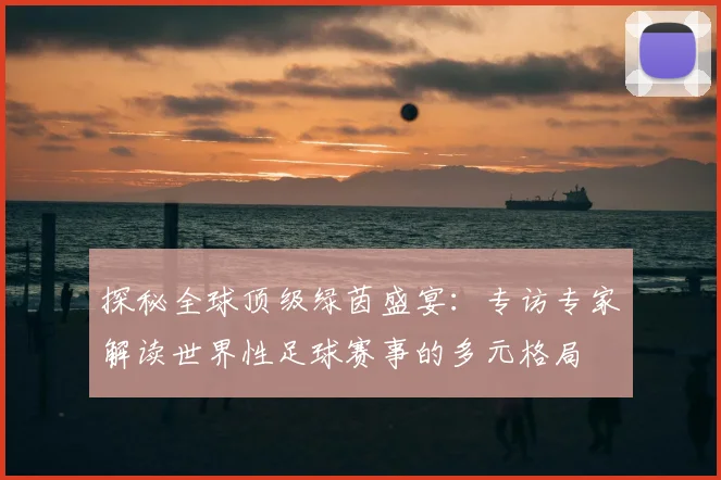 探秘全球顶级绿茵盛宴:专访专家解读世界性足球赛事的多元格局